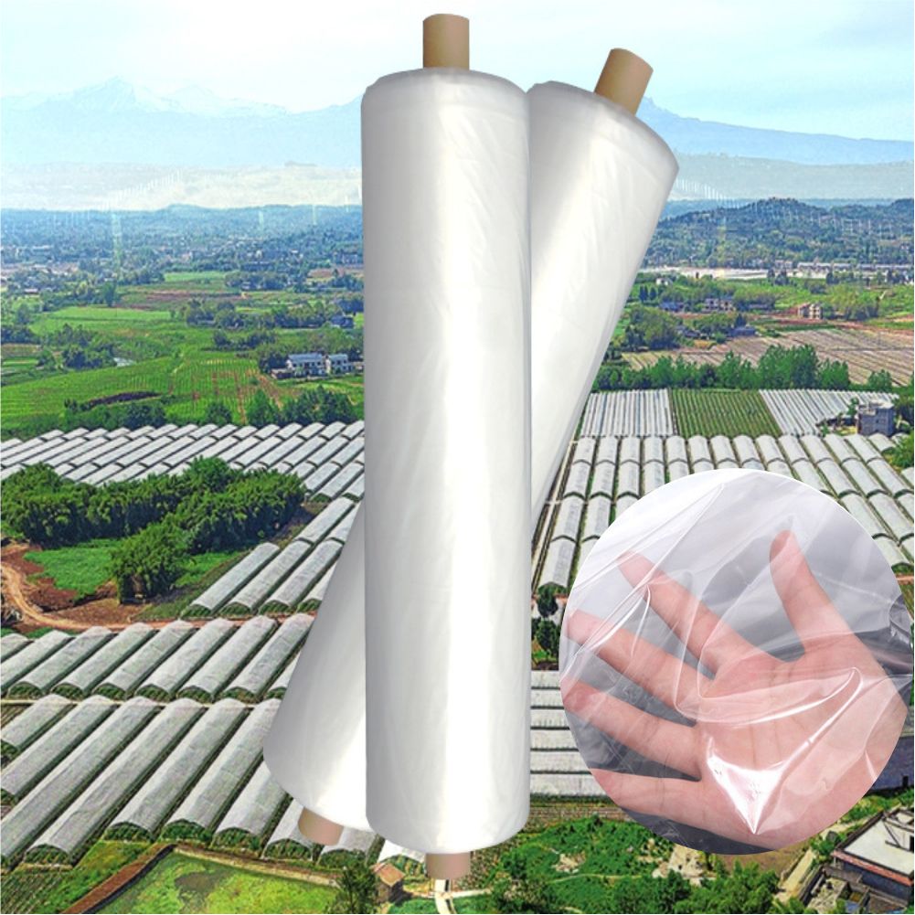 Agriculture Farming Vegetables - Agricultural Farm Greenhouse Plastic Film Garden