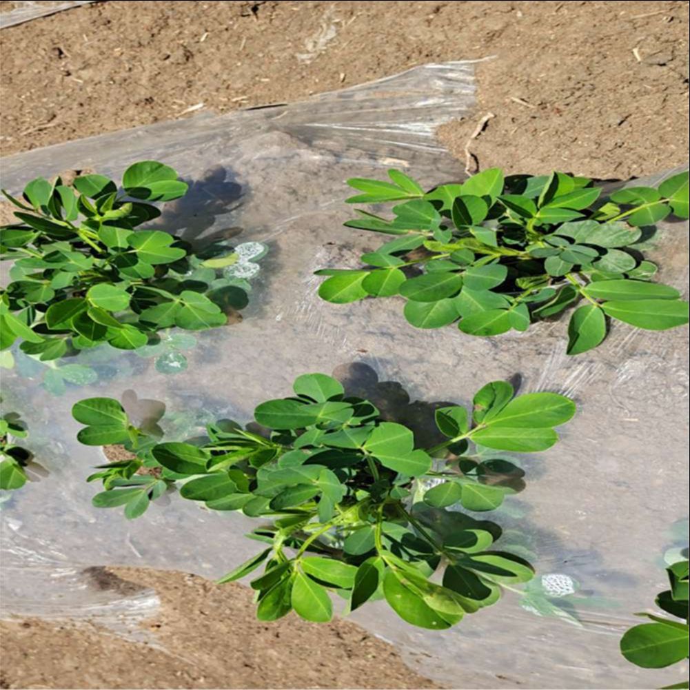 Agricultural Farm Greenhouse P - Agriculture Farming Vegetables 评论和价格