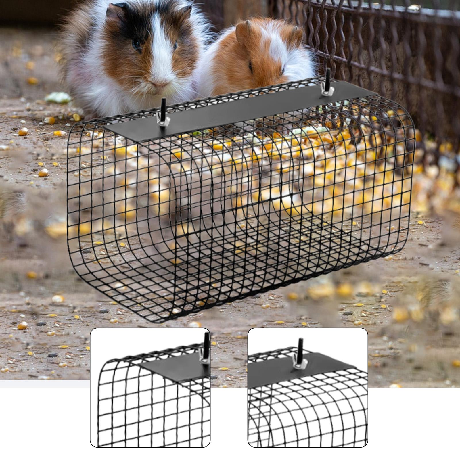 Ferret Hamster Tunnel Hideaway - Rabbit Cage Wire 评论和价格