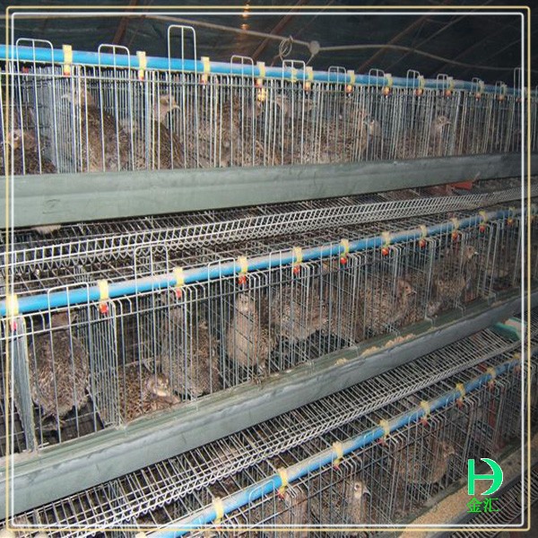Farm and Agriculture Equipment - Agriculture.Farming Design 评论和价格