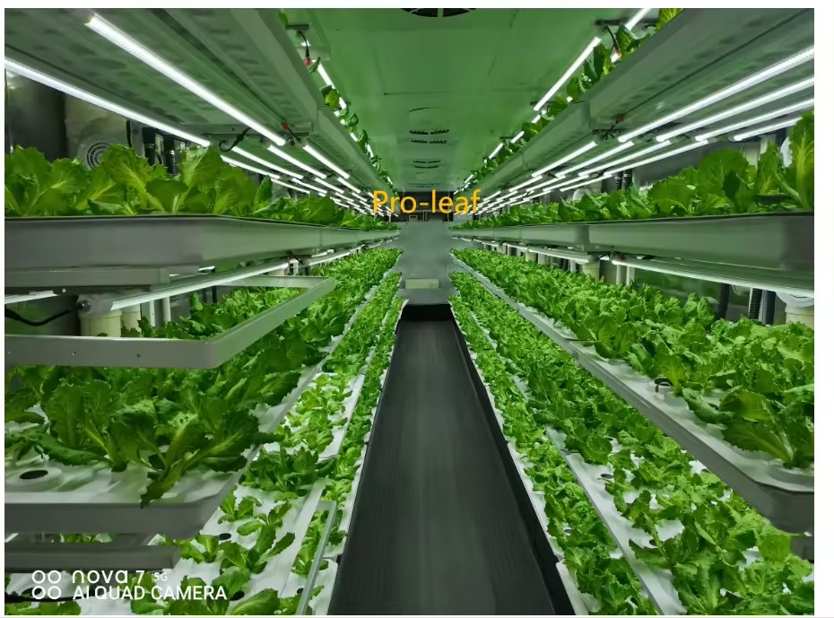 f Greenhouse Agricultural Equi - Agriculture Farming Vegetables 评论和价格
