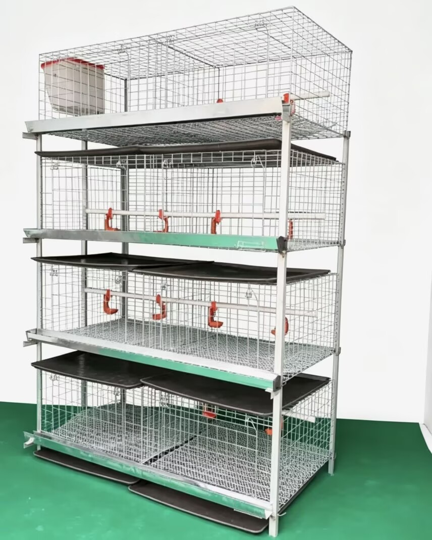 New H Type Broiler Chicken Cag - Farming System & Sustainable Agriculture 评论和价格
